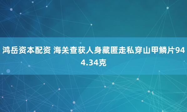 鸿岳资本配资 海关查获人身藏匿走私穿山甲鳞片944.34克