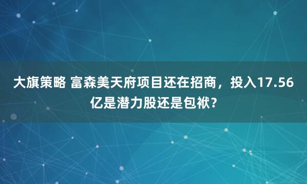 大旗策略 富森美天府项目还在招商，投入17.56亿是潜力股还是包袱？