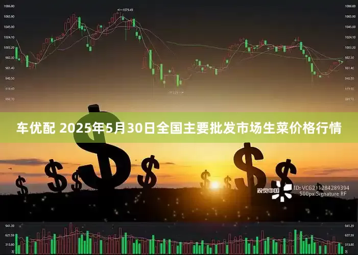 车优配 2025年5月30日全国主要批发市场生菜价格行情